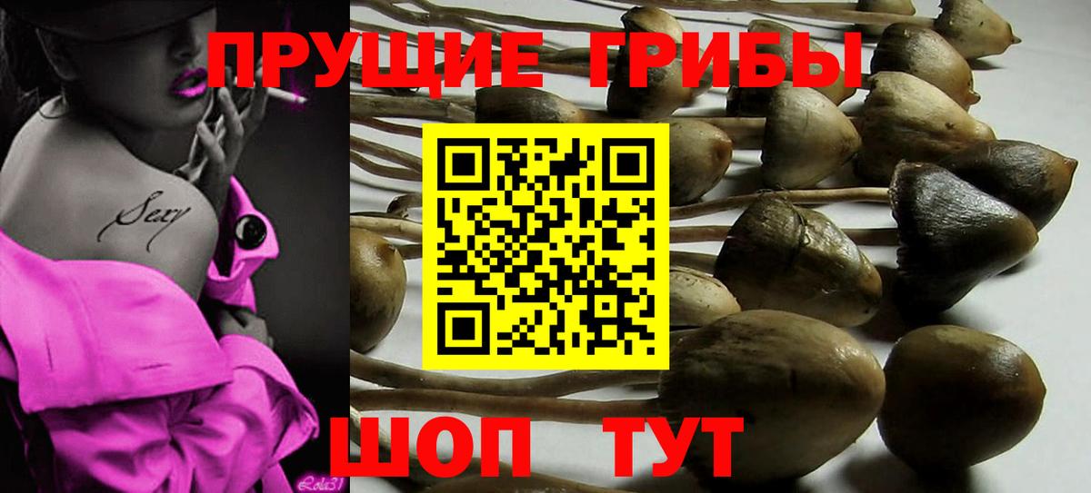 Псилоцибиновые грибы Magic Shrooms Краснодар