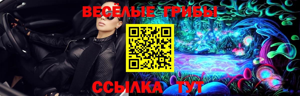 Краснодар  Галлюциногенные грибы GOLDEN TEACHER  Вход с VPN 